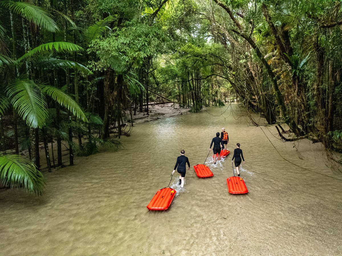  A couple gathered in a dense rainforest, attentively listening to a guide who is explaining various aspects of the natural environment